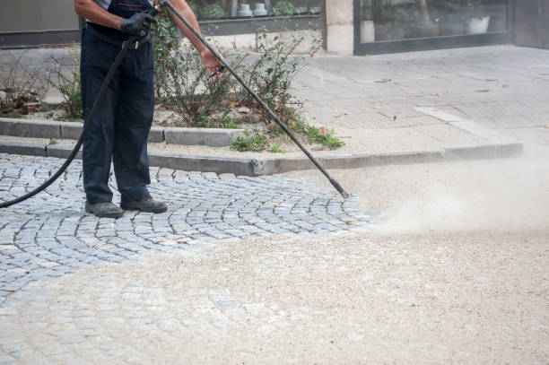Best Driveway Pressure Washing  in Norwood, PA